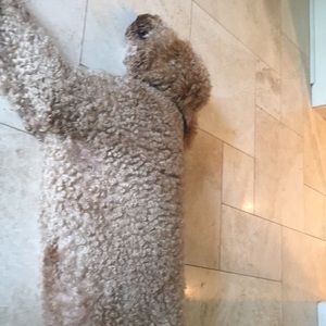 Meet your Posher, Lulu